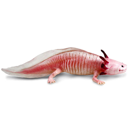 IC Axolotl