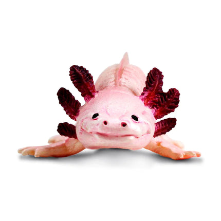 IC Axolotl