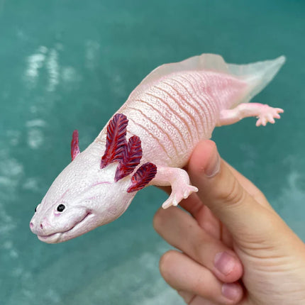 IC Axolotl