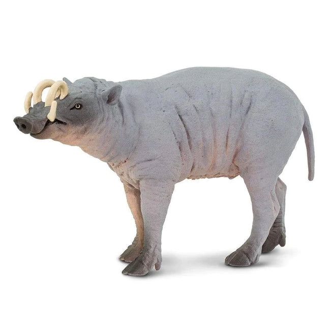 WSW Babirusa XXX