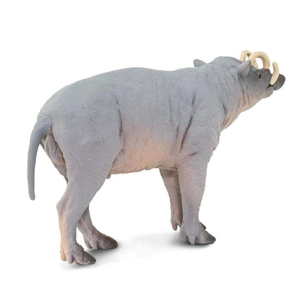 WSW Babirusa XXX