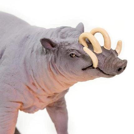 WSW Babirusa XXX