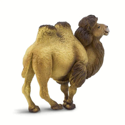 WSW Bactrian Camel