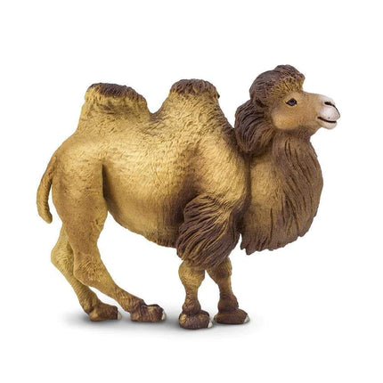 WSW Bactrian Camel