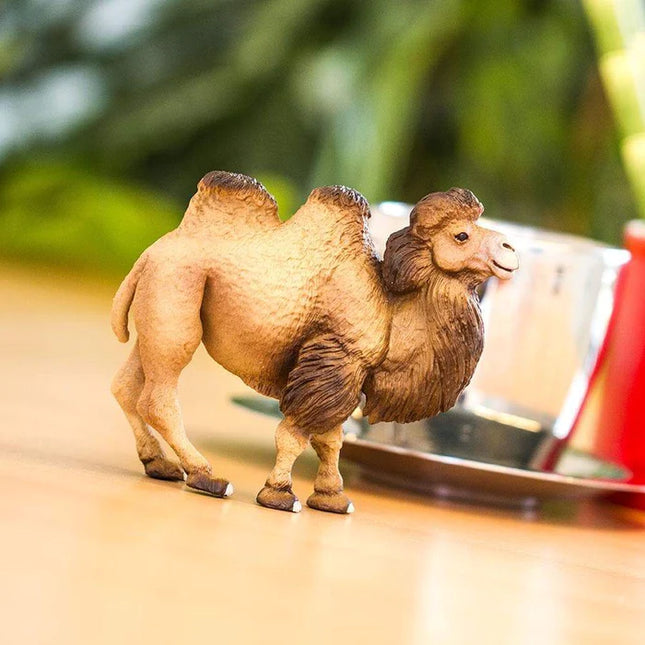 WSW Bactrian Camel