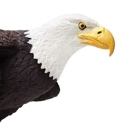 IC Bald Eagle