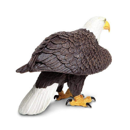 IC Bald Eagle