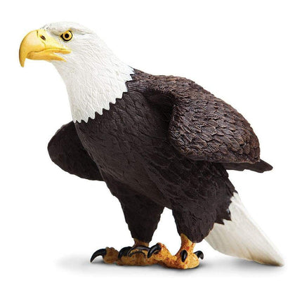 IC Bald Eagle