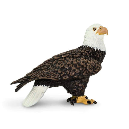 WSW Bald Eagle