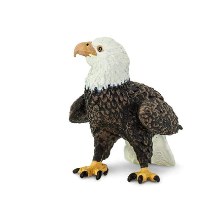 WSW Bald Eagle