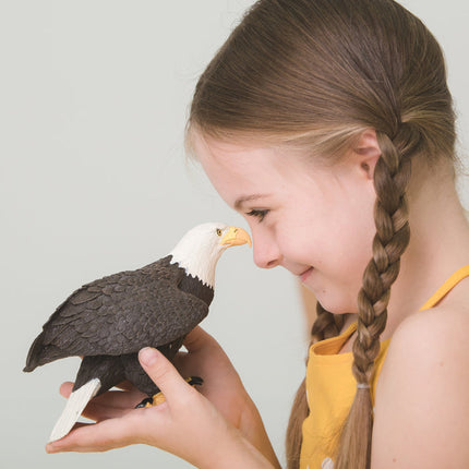 IC Bald Eagle