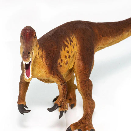 WSD Baryonyx