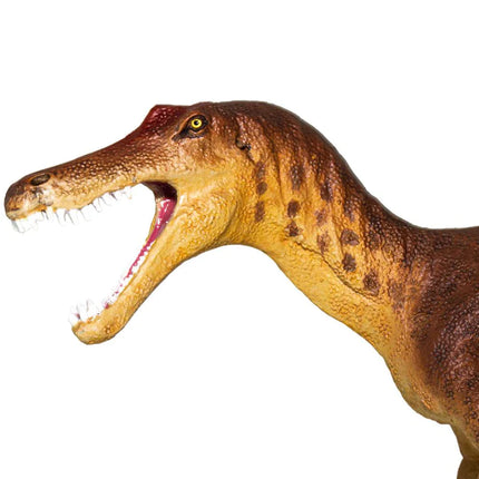 WSD Baryonyx