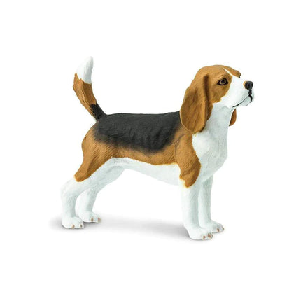 WSP Beagle