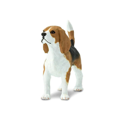 WSP Beagle