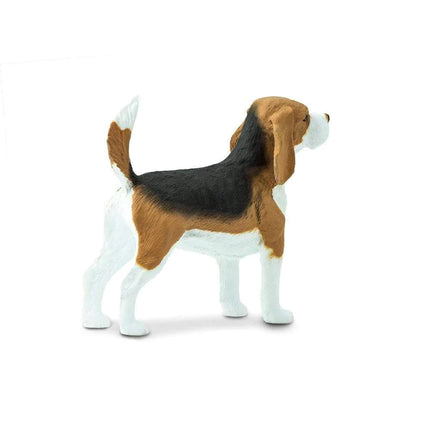 WSP Beagle