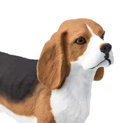 WSP Beagle