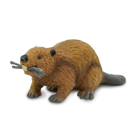 WSW Beaver