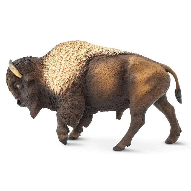 WSW Bison