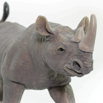 WSW Black Rhino