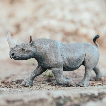 WSW Black Rhino