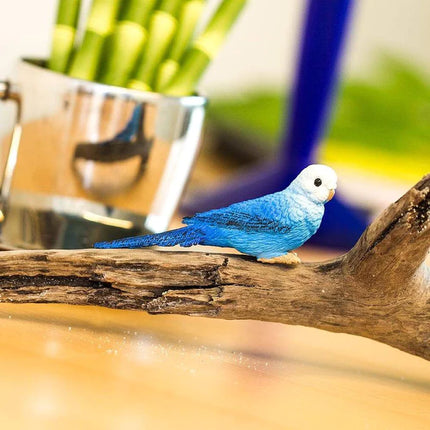 WSW Blue Budgie