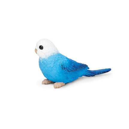 WSW Blue Budgie