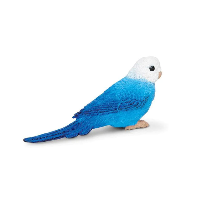 WSW Blue Budgie