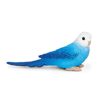 WSW Blue Budgie