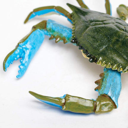 IC Blue Crab