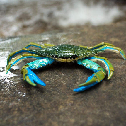 IC Blue Crab