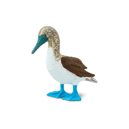 WSB Blue Footed Booby XXX