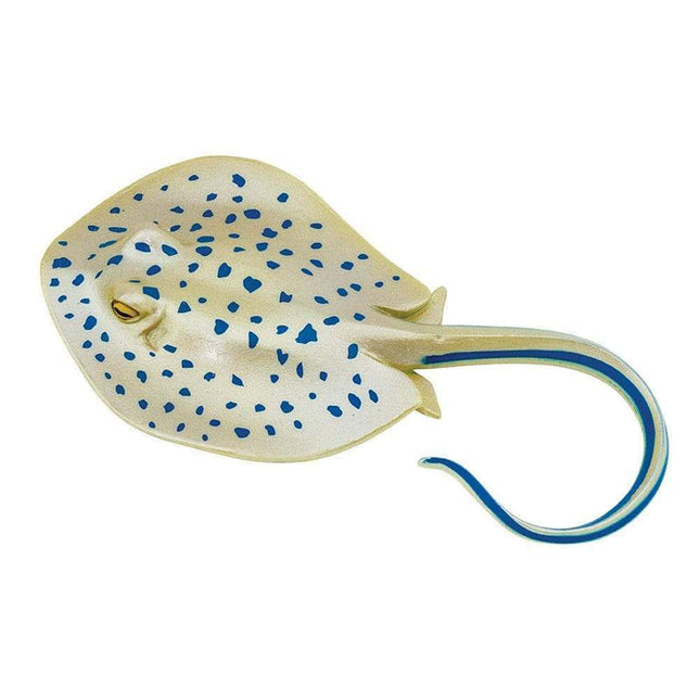 IC Blue Spotted Ray