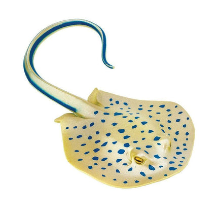 IC Blue Spotted Ray