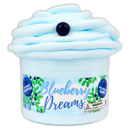 Blueberry Dreams Slime 8oz