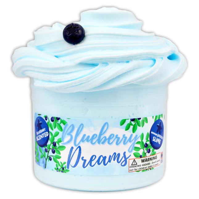 Blueberry Dreams Slime 8oz