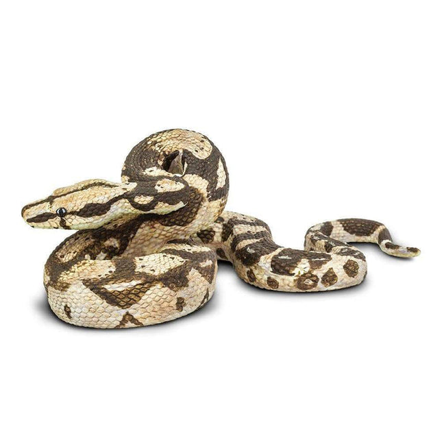 IC Boa Constrictor Snake