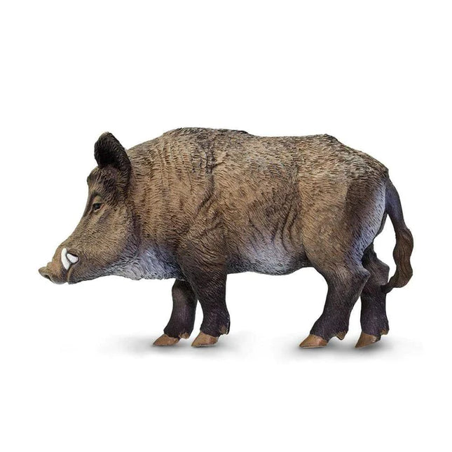 WSW Boar