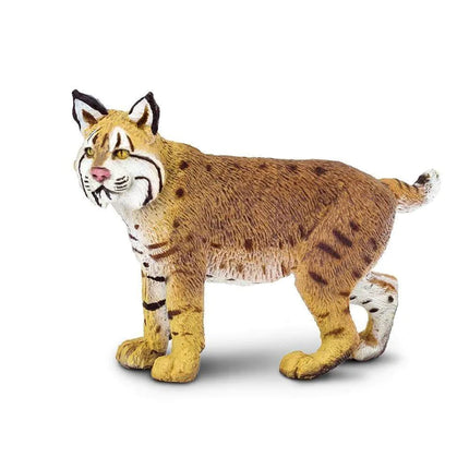 WSW Bobcat