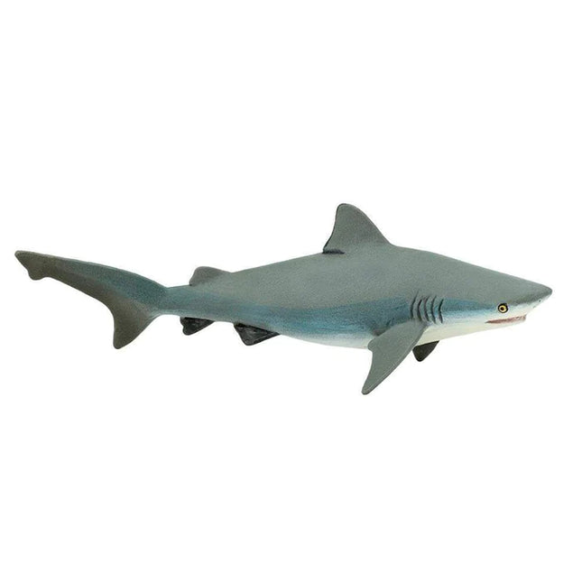 WSS Bull Shark