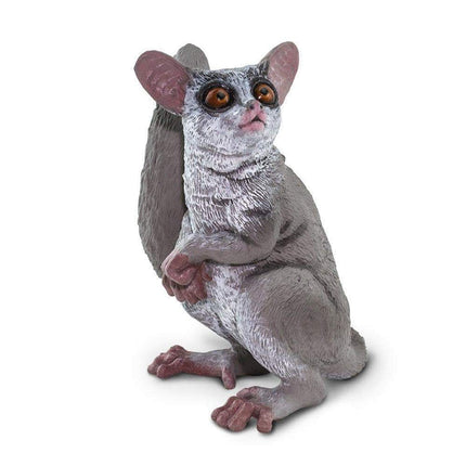 IC Bush Baby