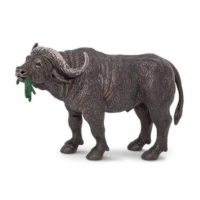 WSW Cape Buffalo