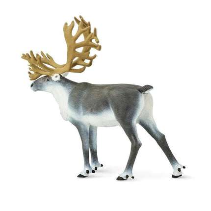 WSW Caribou