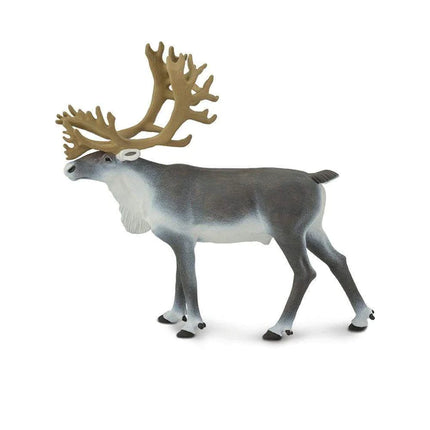 WSW Caribou