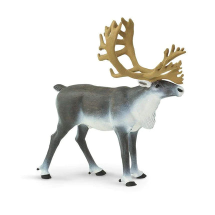 WSW Caribou