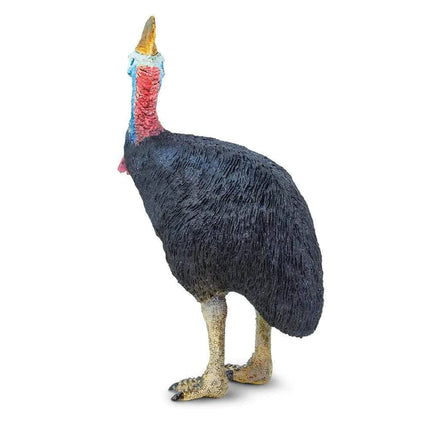 WSW Cassowary