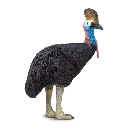 WSW Cassowary