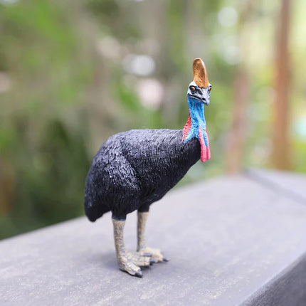 WSW Cassowary