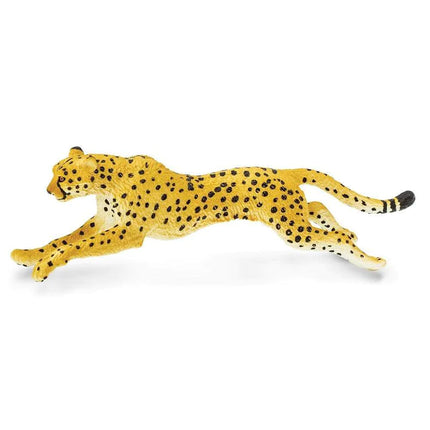 WSW Cheetah