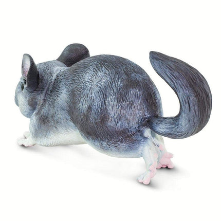 IC Chinchilla XXX